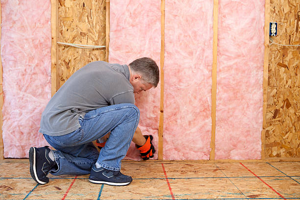Best Energy Efficiency Insulation in Meadow Oaks, FL